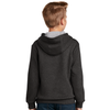 Graphite Hooded Sweatshirt - Youth